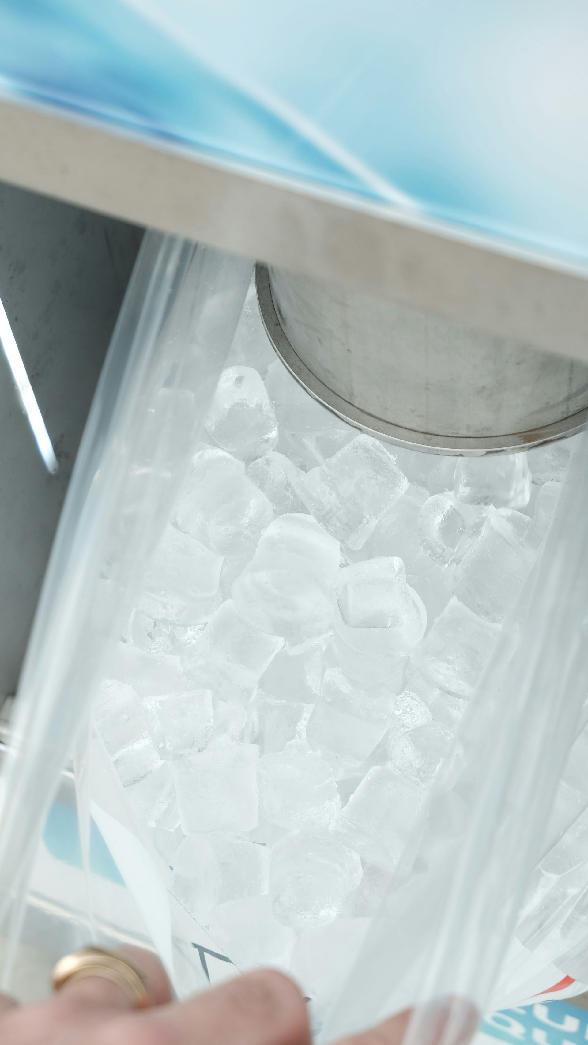 A bag is filled with cubed ice